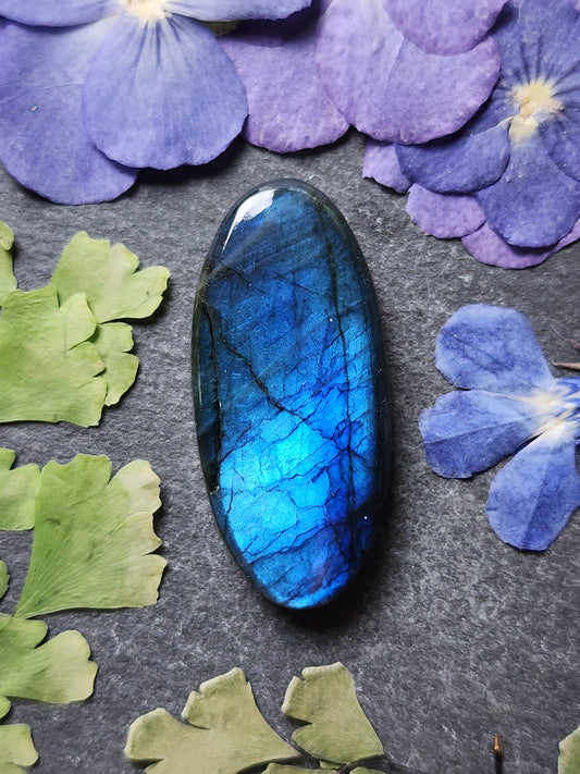 Labradorite