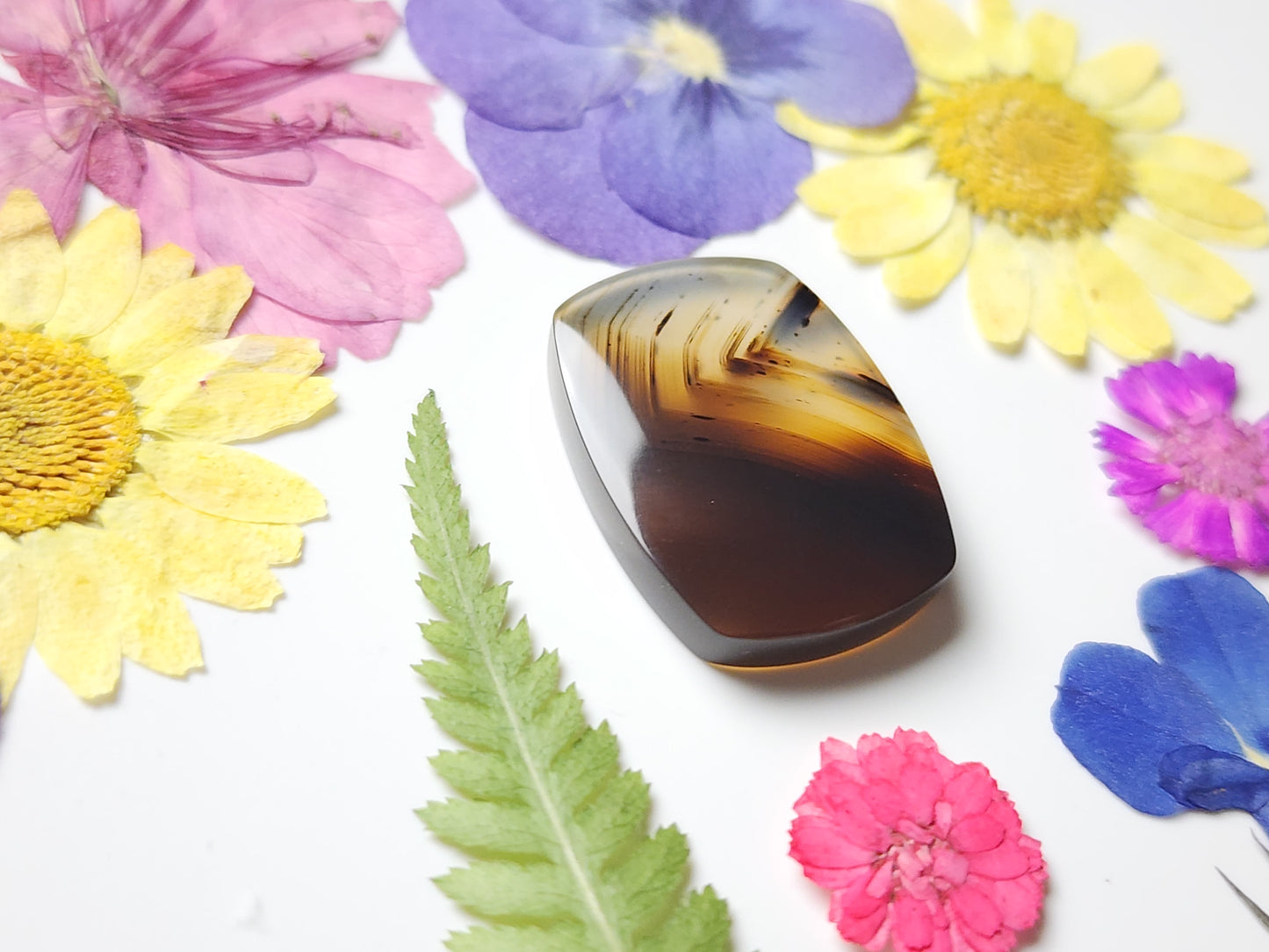 Montana agate