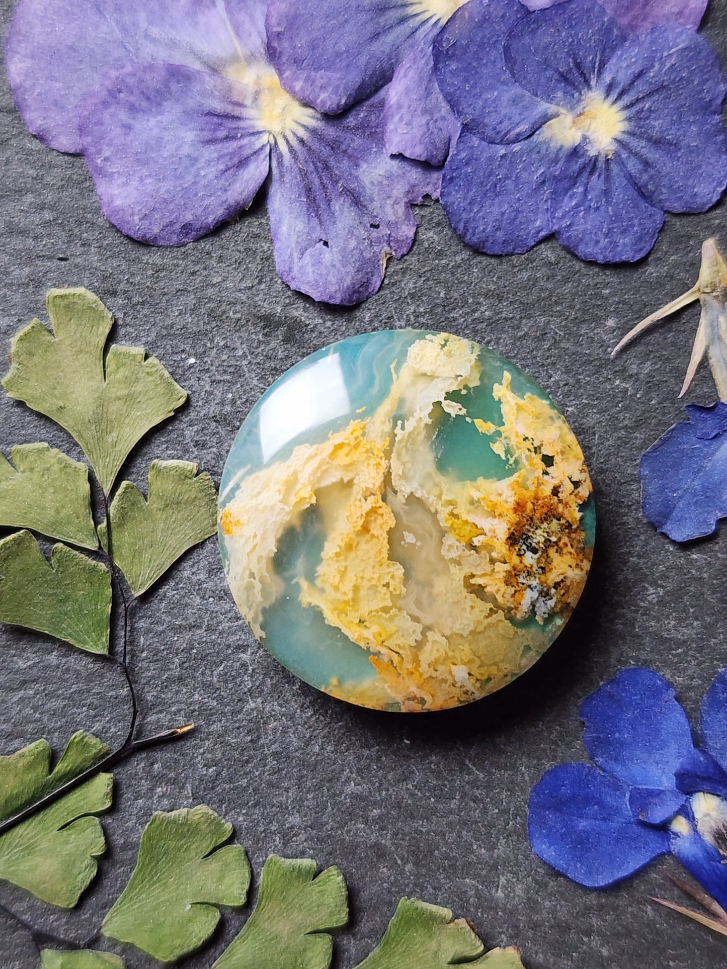 Bella Vista plume agate Doublet