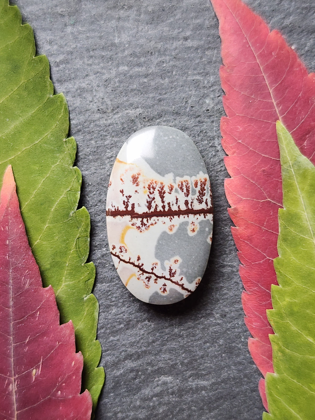 Sonoran Dendritic Rhyolite