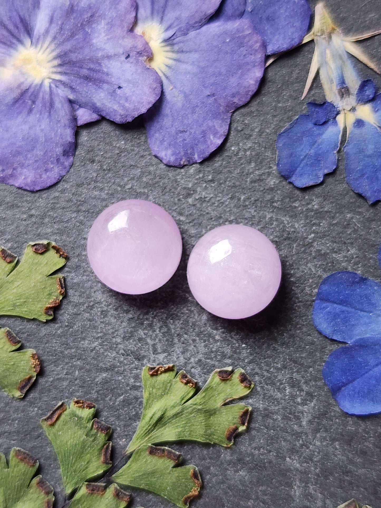 Lavender Kunzite pair