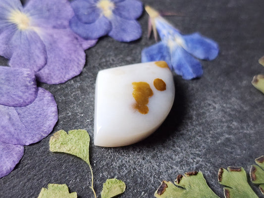 Polka dot agate