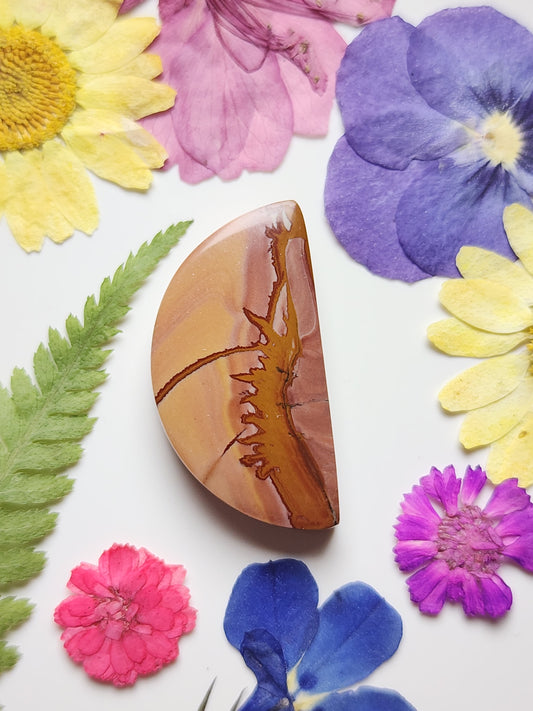 Red Falcon jasper