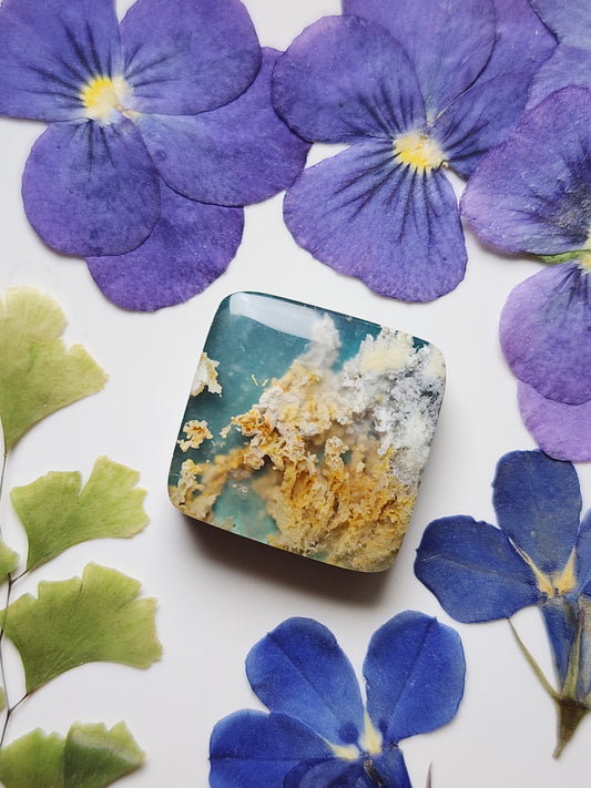 North ridge plume agate Doublet