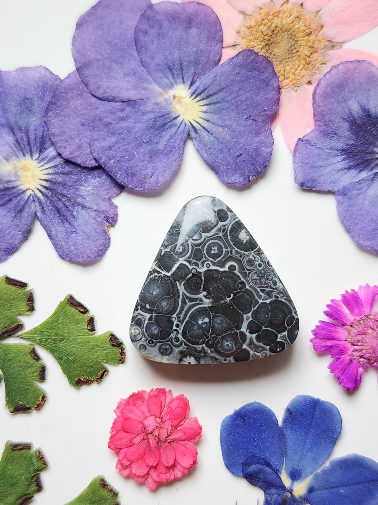Galaxy Rhyolite