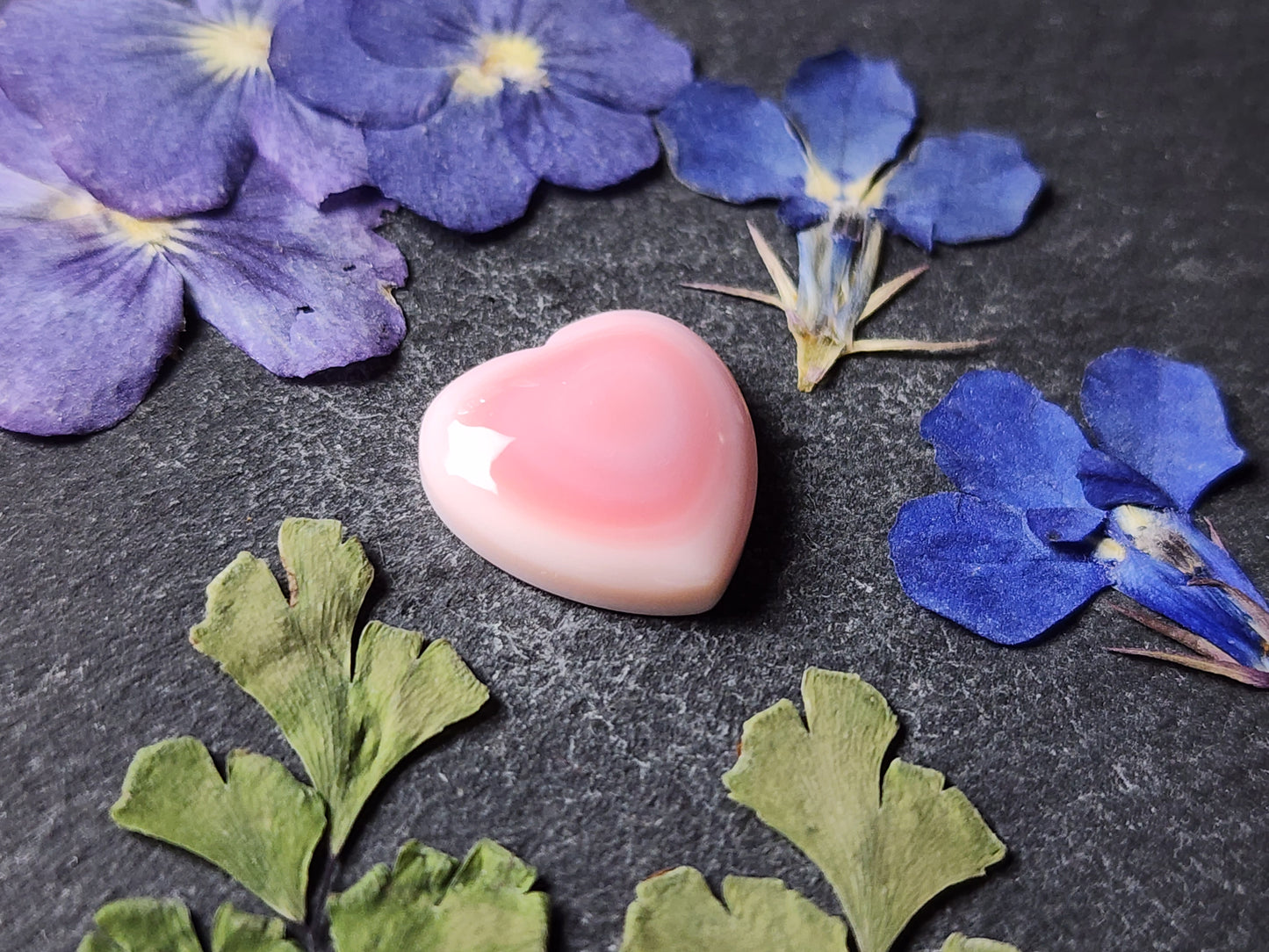 Pink conch shell heart