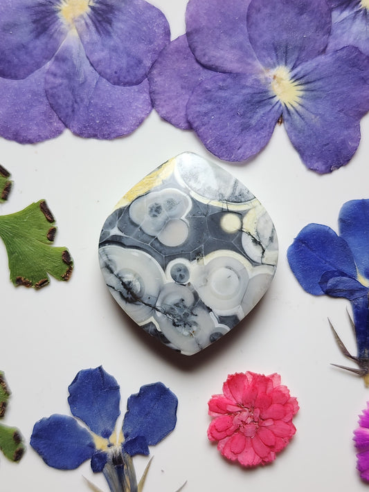 Galaxy Rhyolite