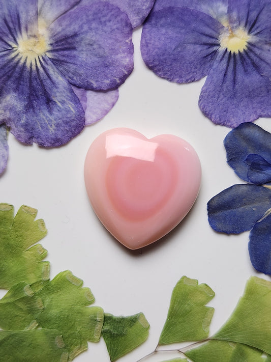 Pink Conch shell heart