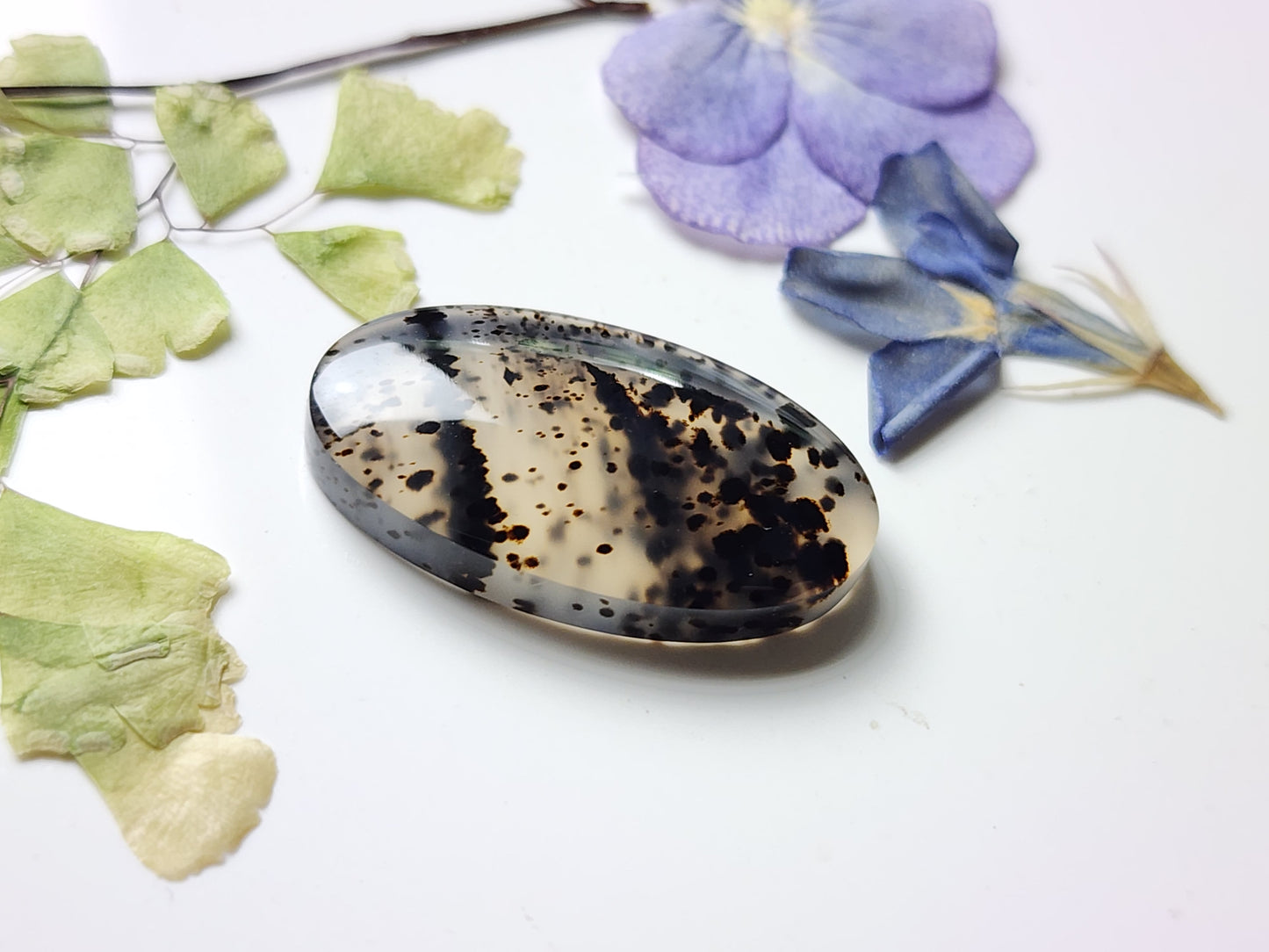 Montana agate