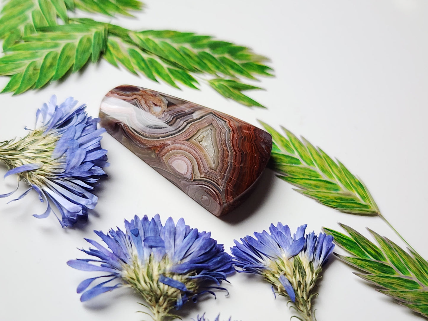 Laguna lace agate