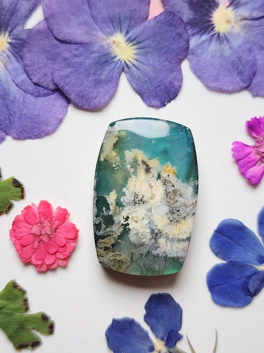 Bella Vista plume agate Doublet