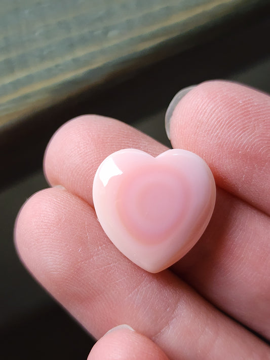 Pink Conch shell heart
