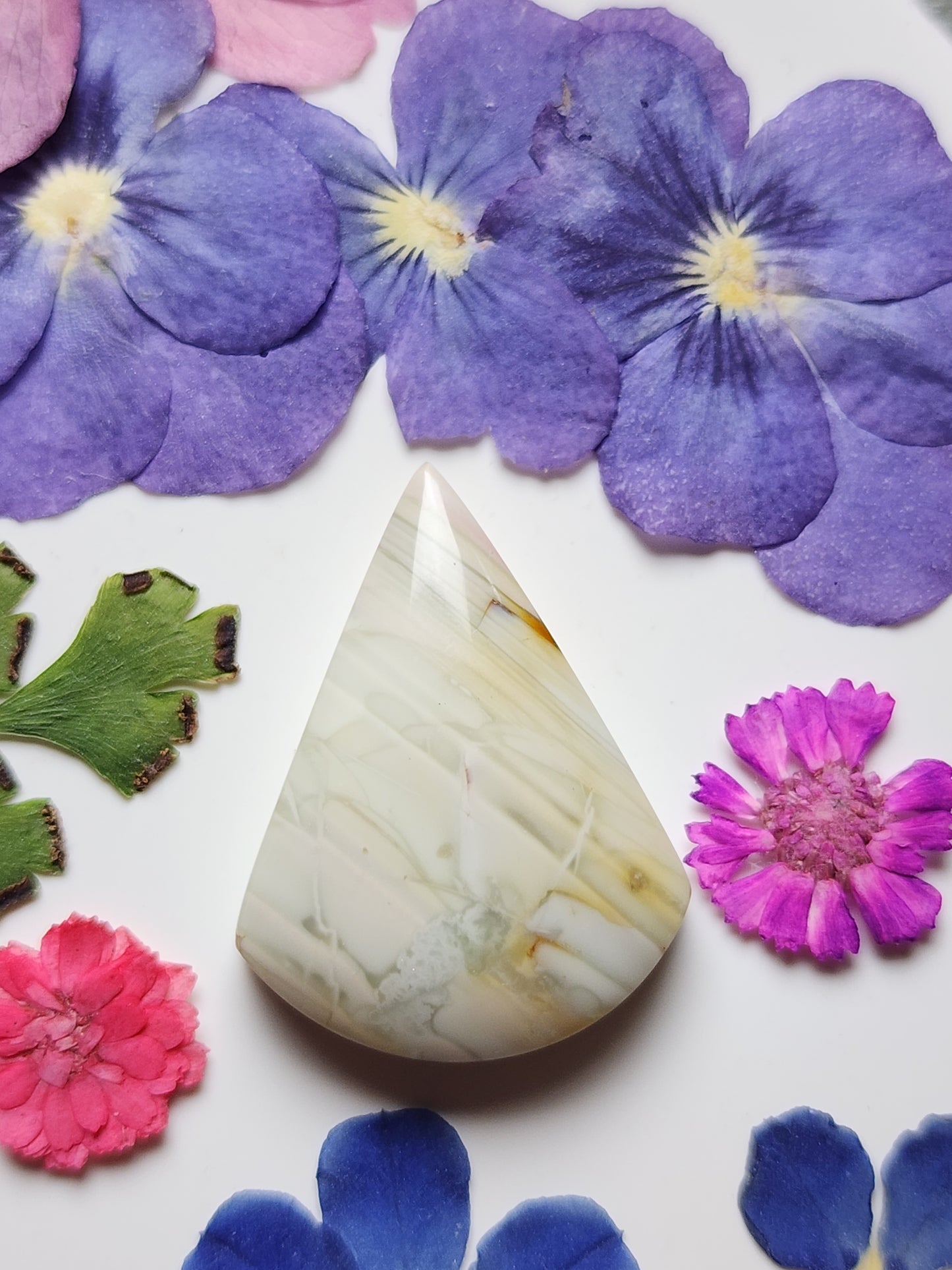 Willow Creek jasper