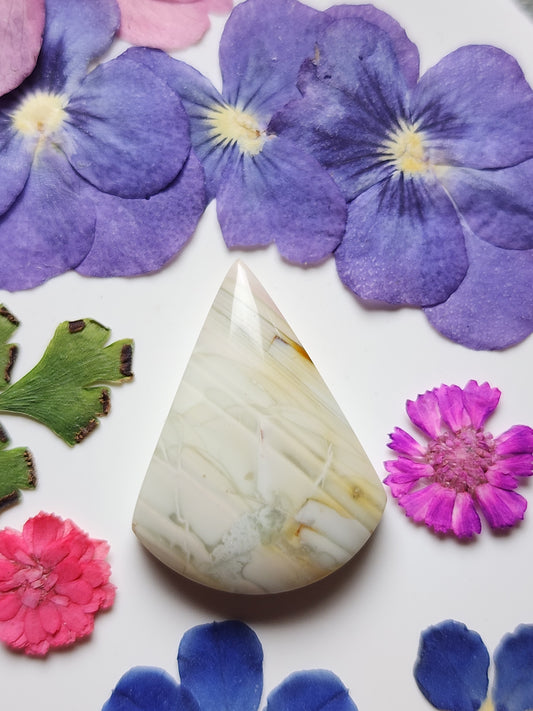 Willow Creek jasper