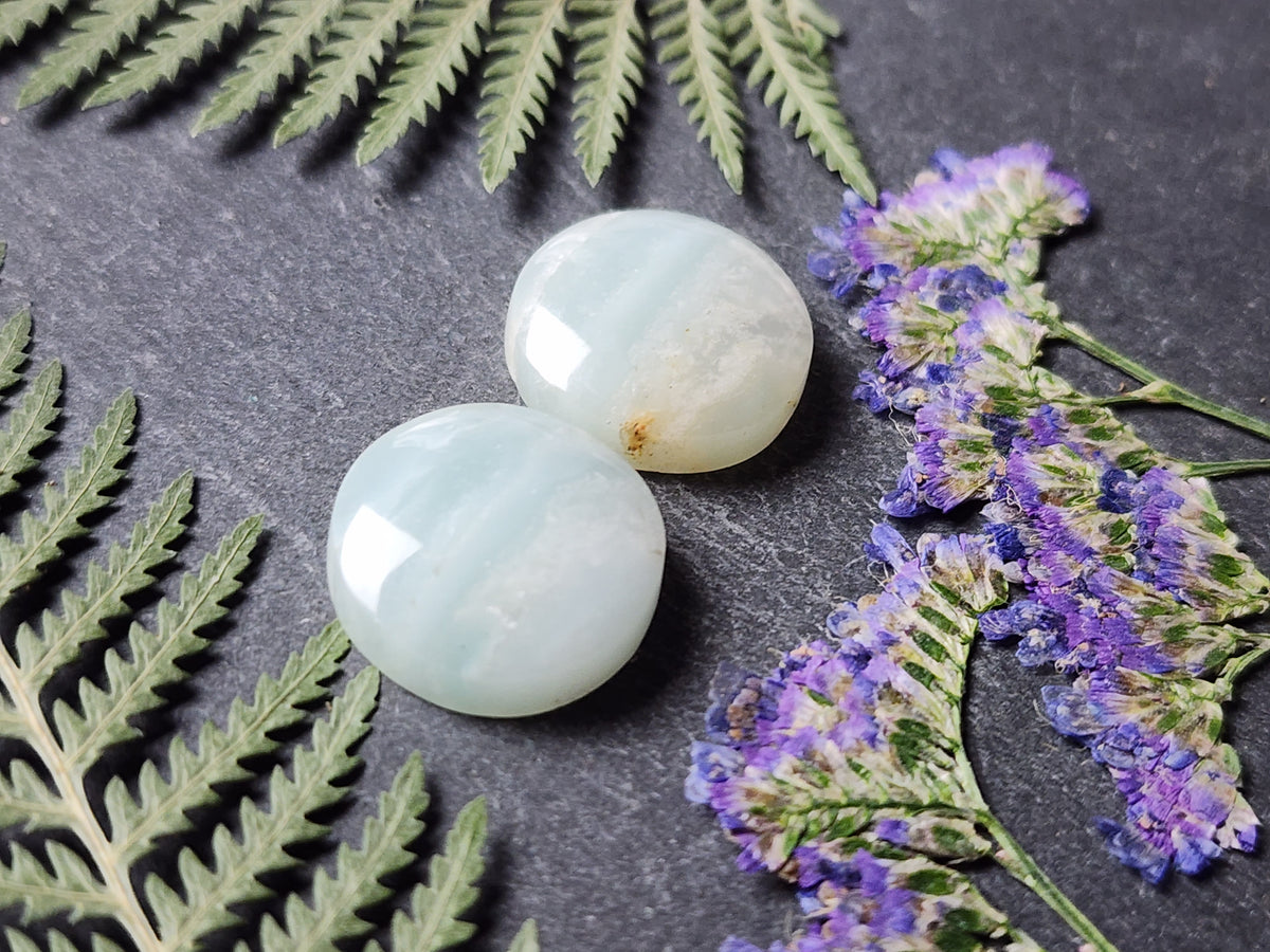 BC Ocean picture stone pair