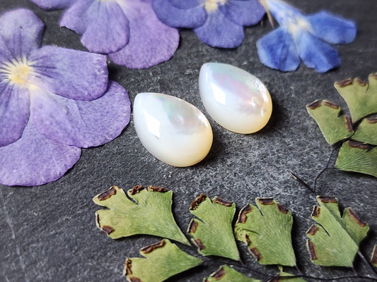 Mother of pearl shell pair (A1)