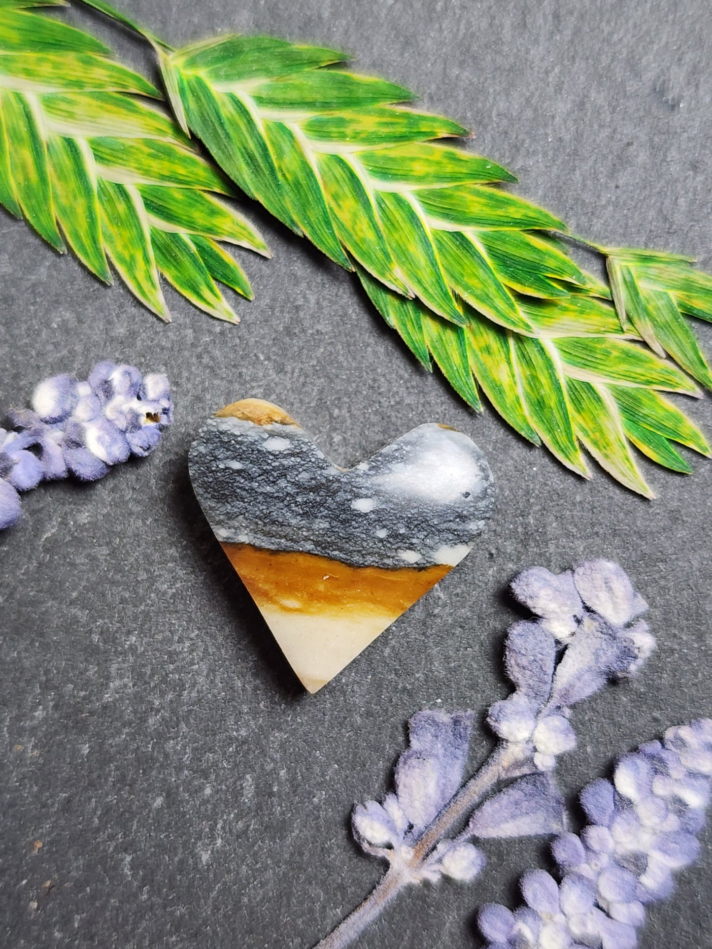 Starry night picture jasper heart