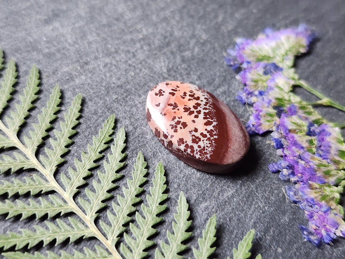 Mimbres Valley Apache Dendritic Rhyolite