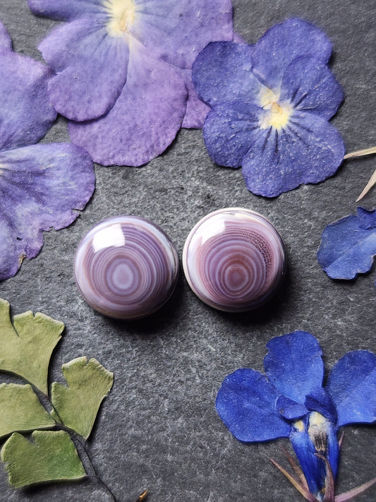 Wampum shell pair