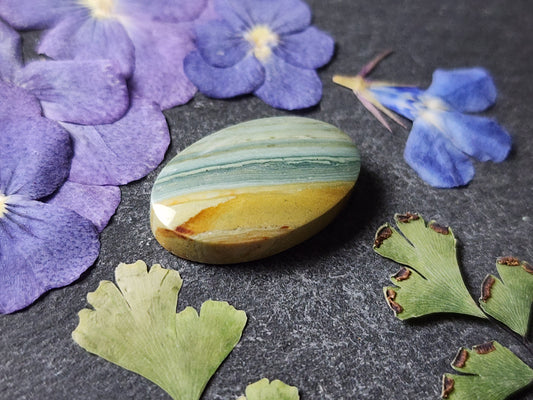 Gary green jasper /Larsonite