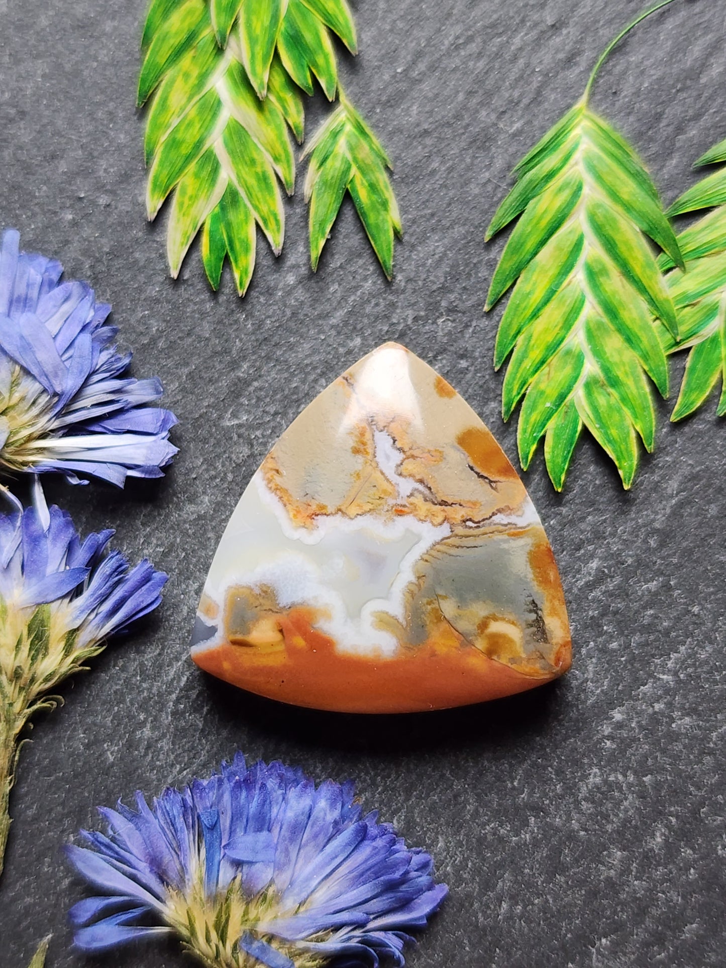 Brecciated Polychrome jasper