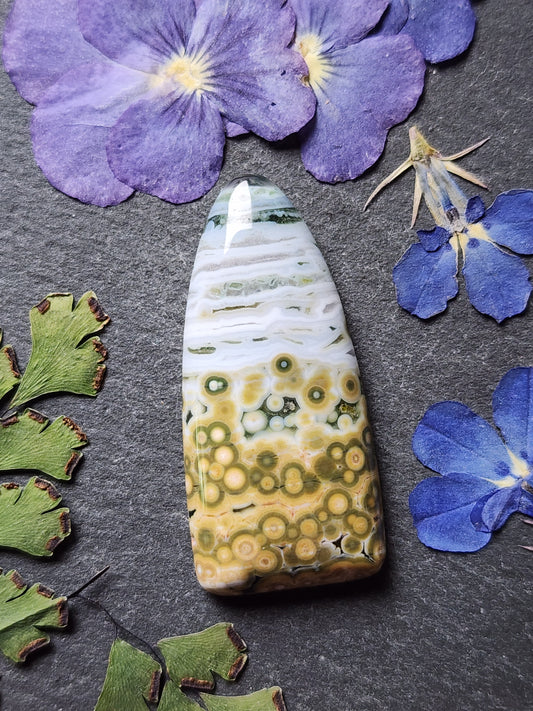 Ocean jasper