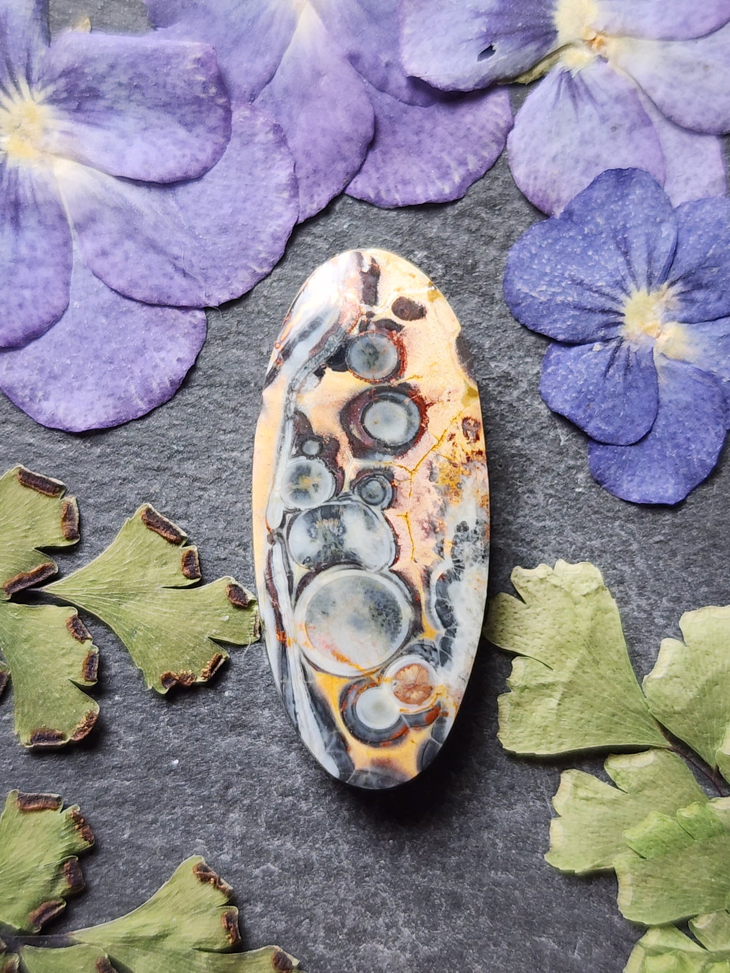 Galaxy Rhyolite