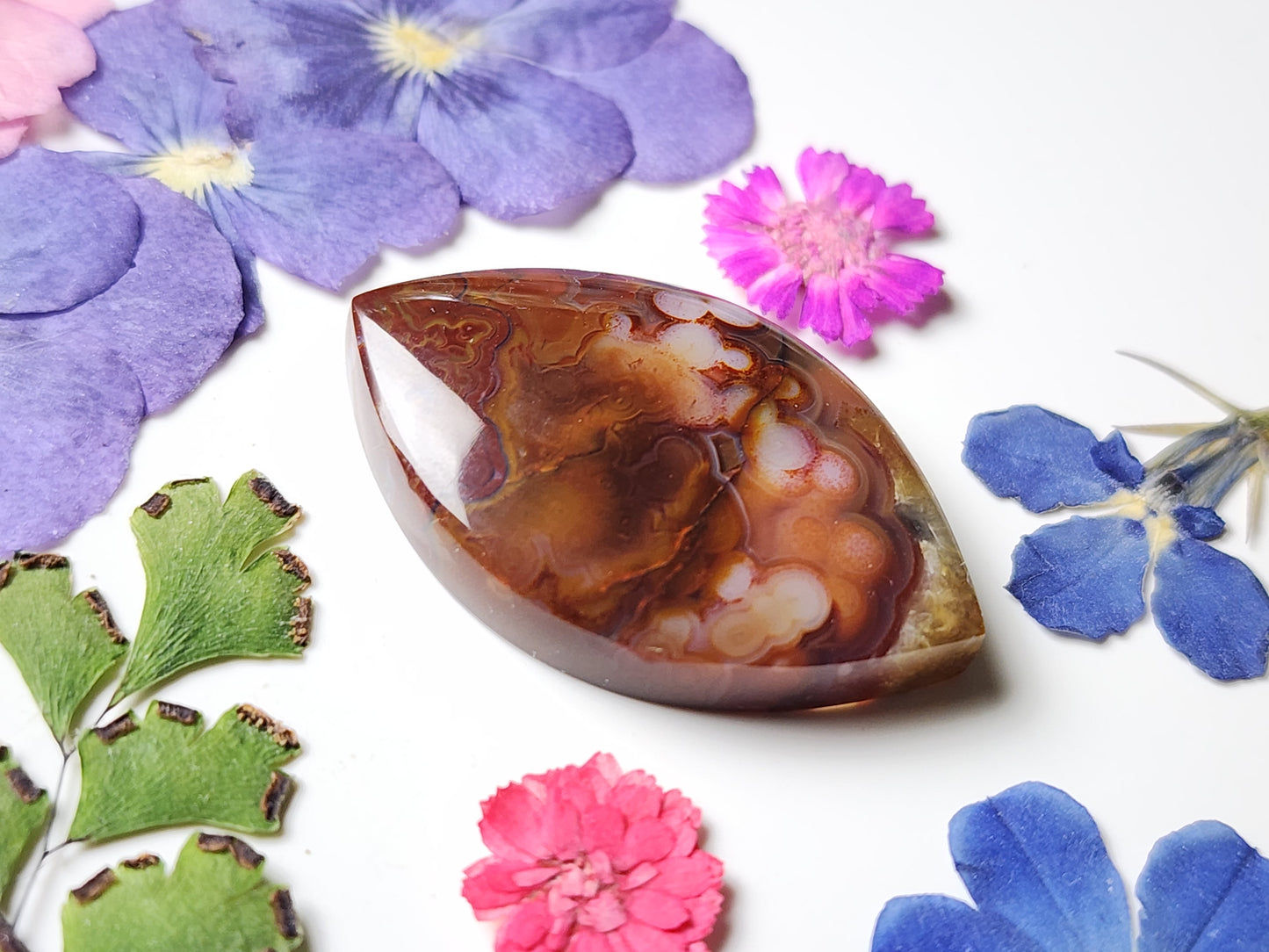 Rincon lace agate