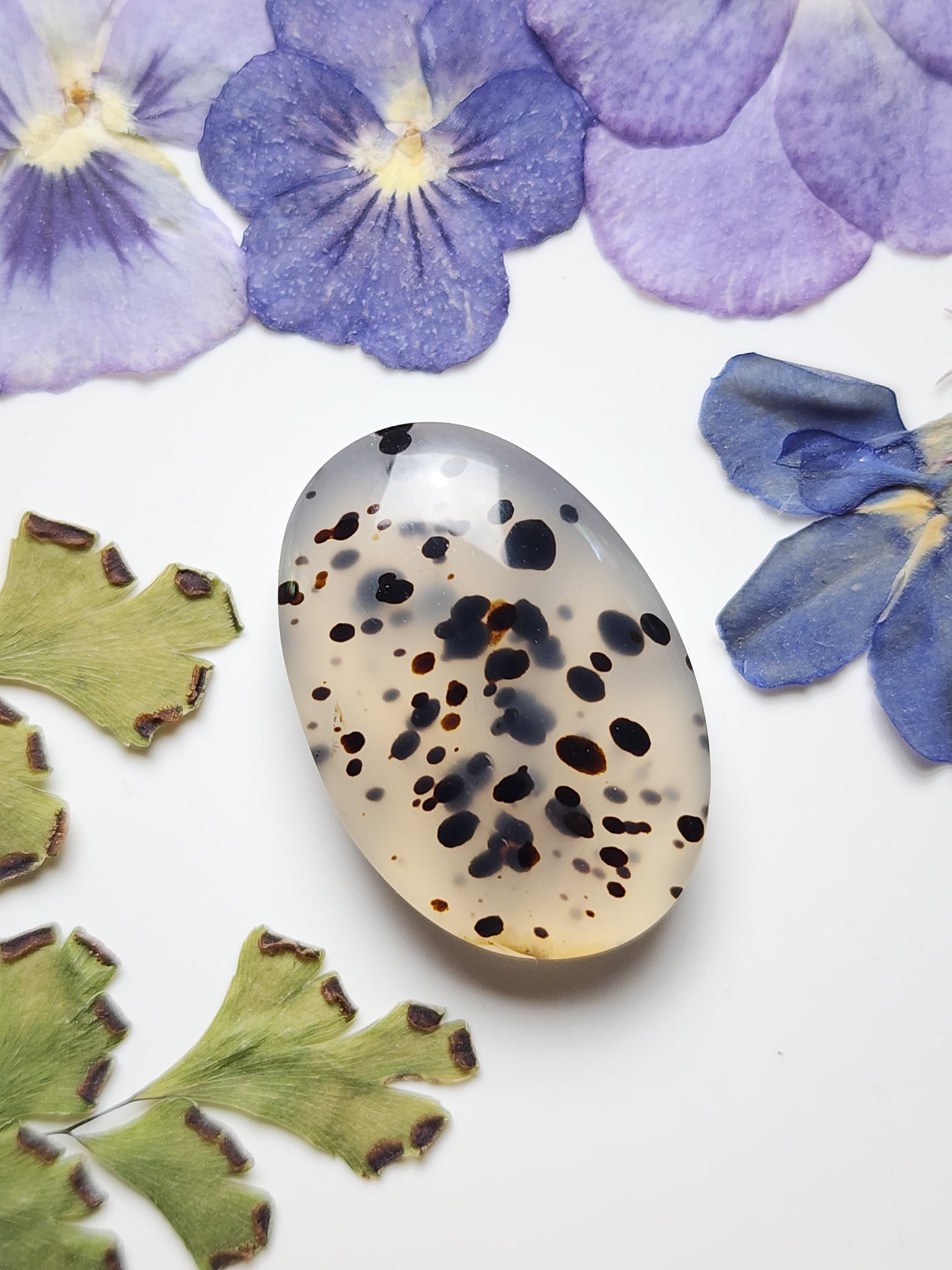 Montana agate