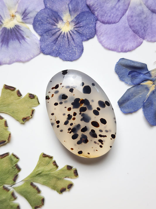 Montana agate