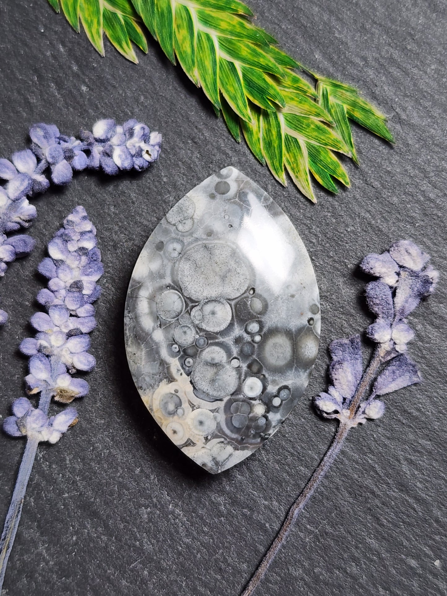 Galaxy Rhyolite