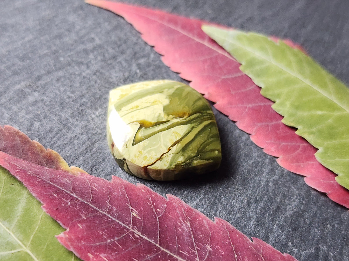 Morrisonite jasper