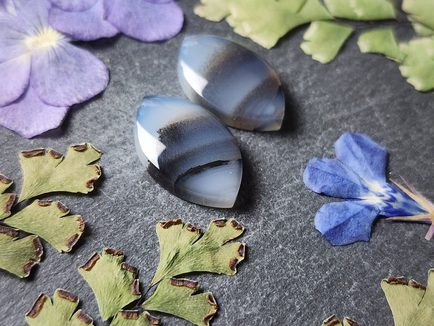 Montana agate pair