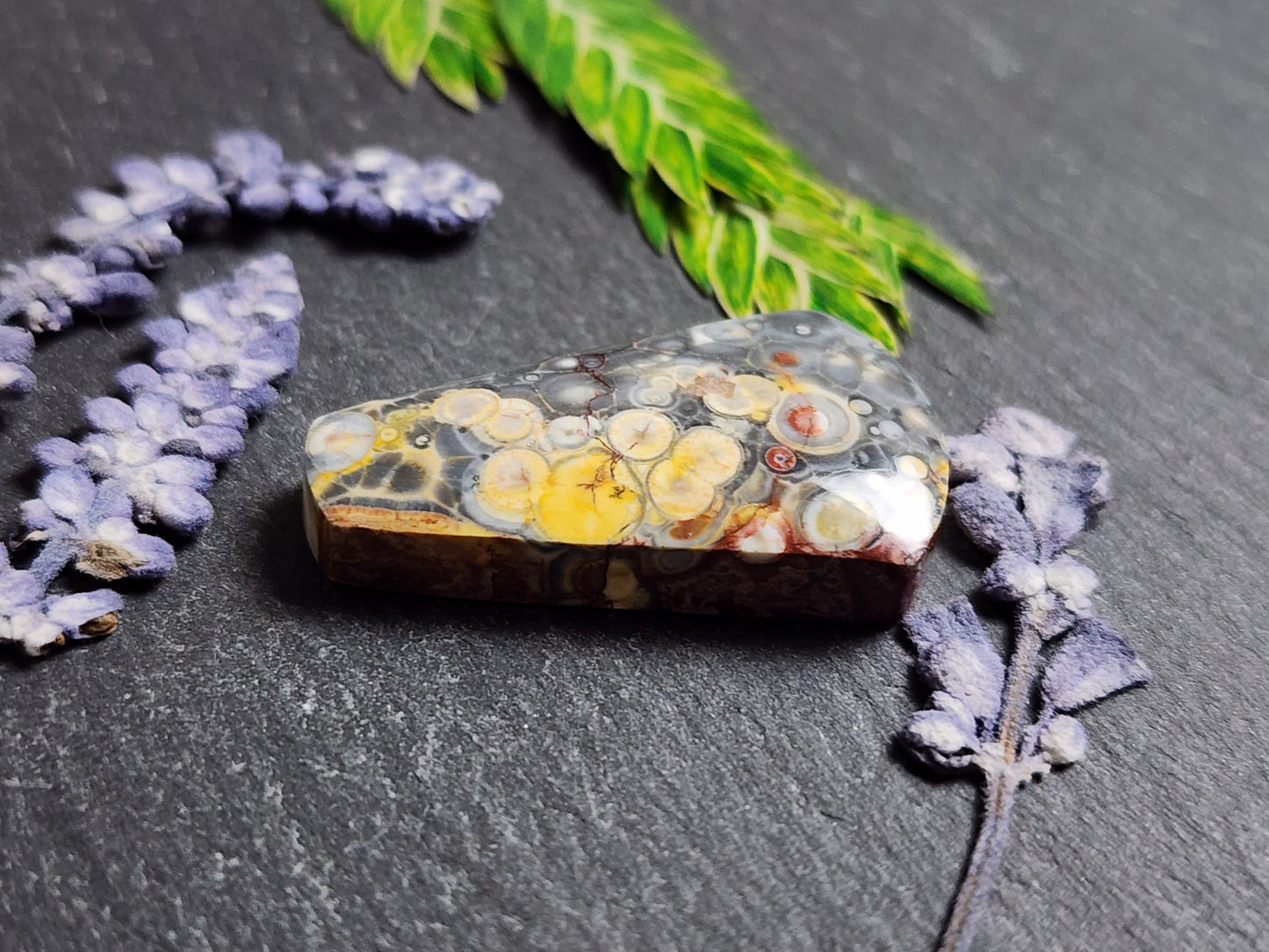Galaxy Rhyolite