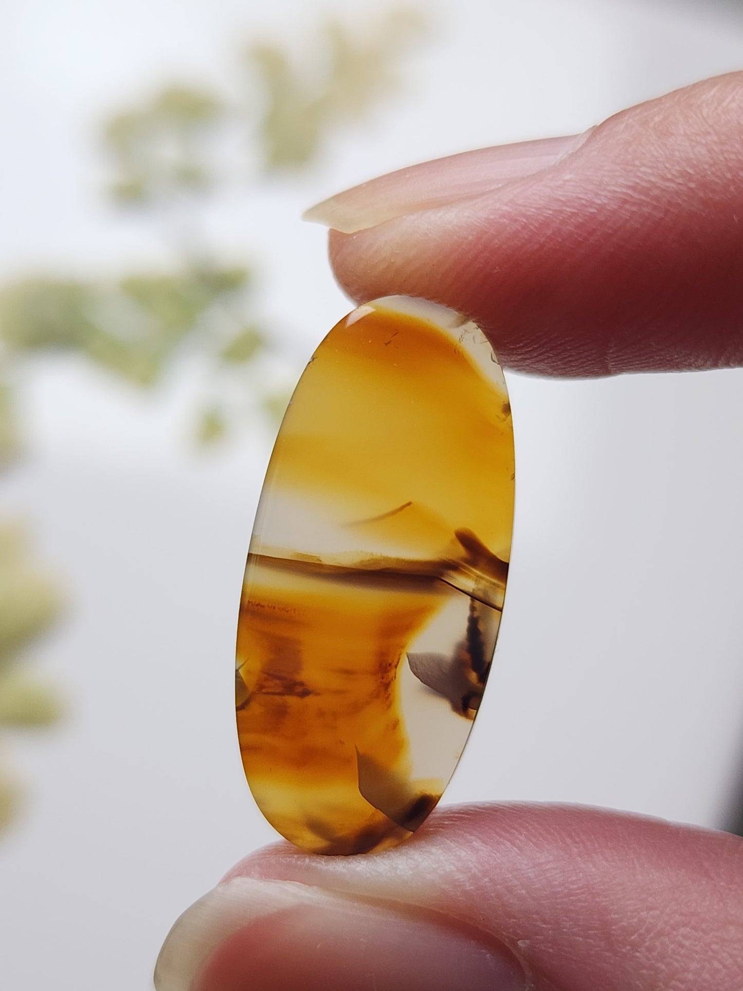 Montana agate