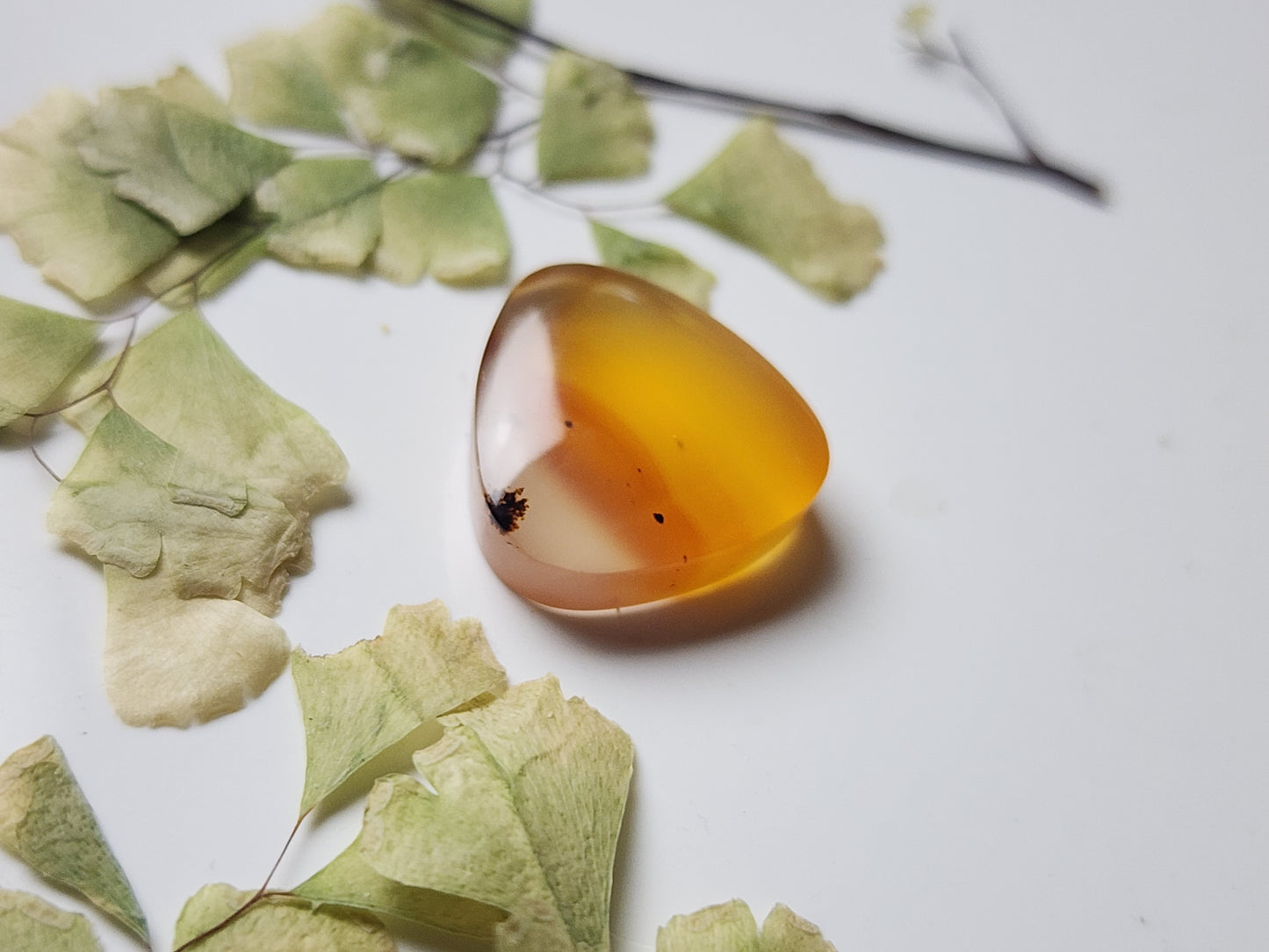 Montana agate