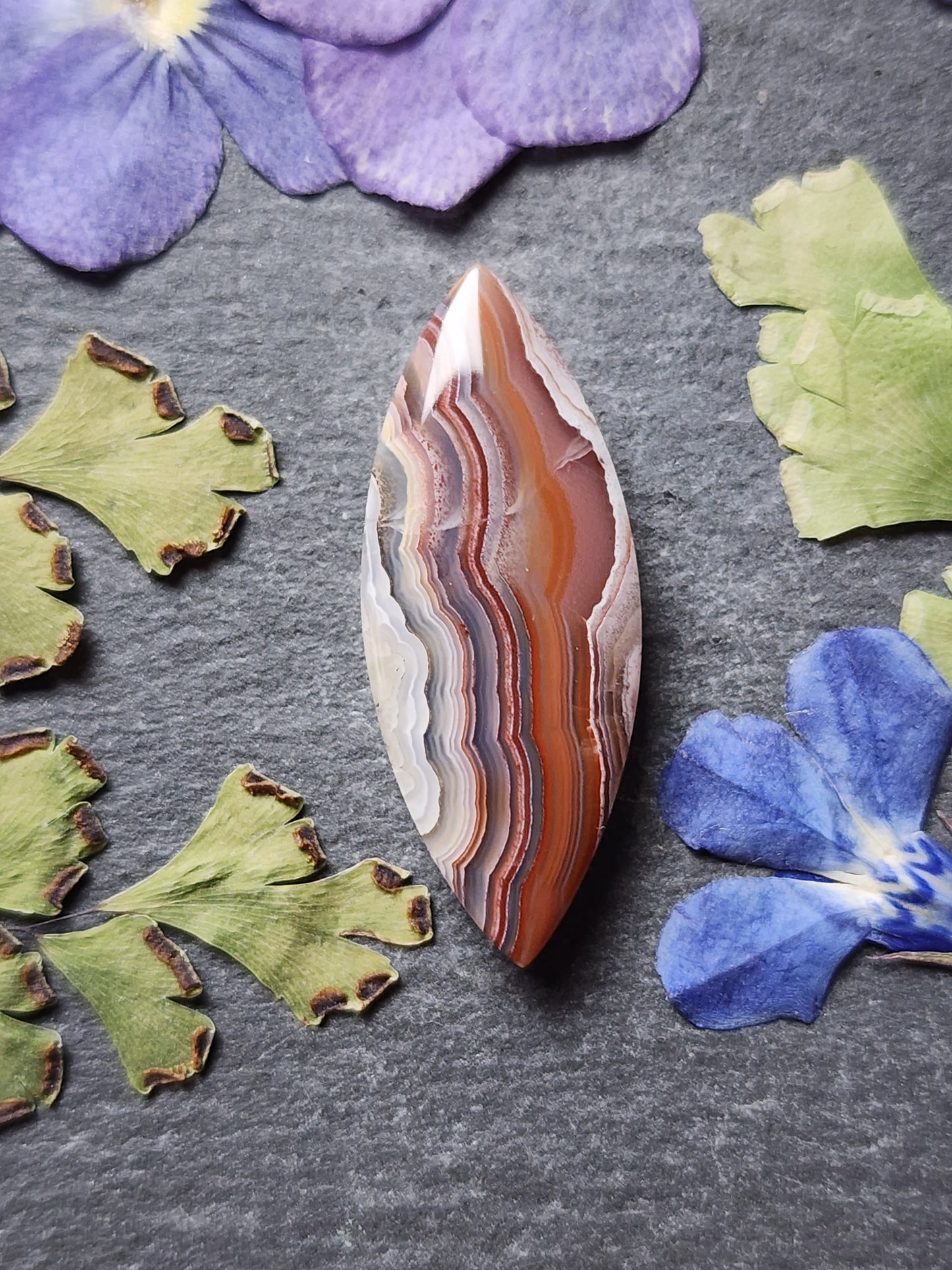 Laguna lace agate