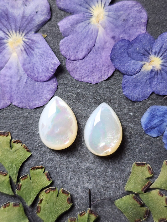 Mother of pearl shell pair (A1)
