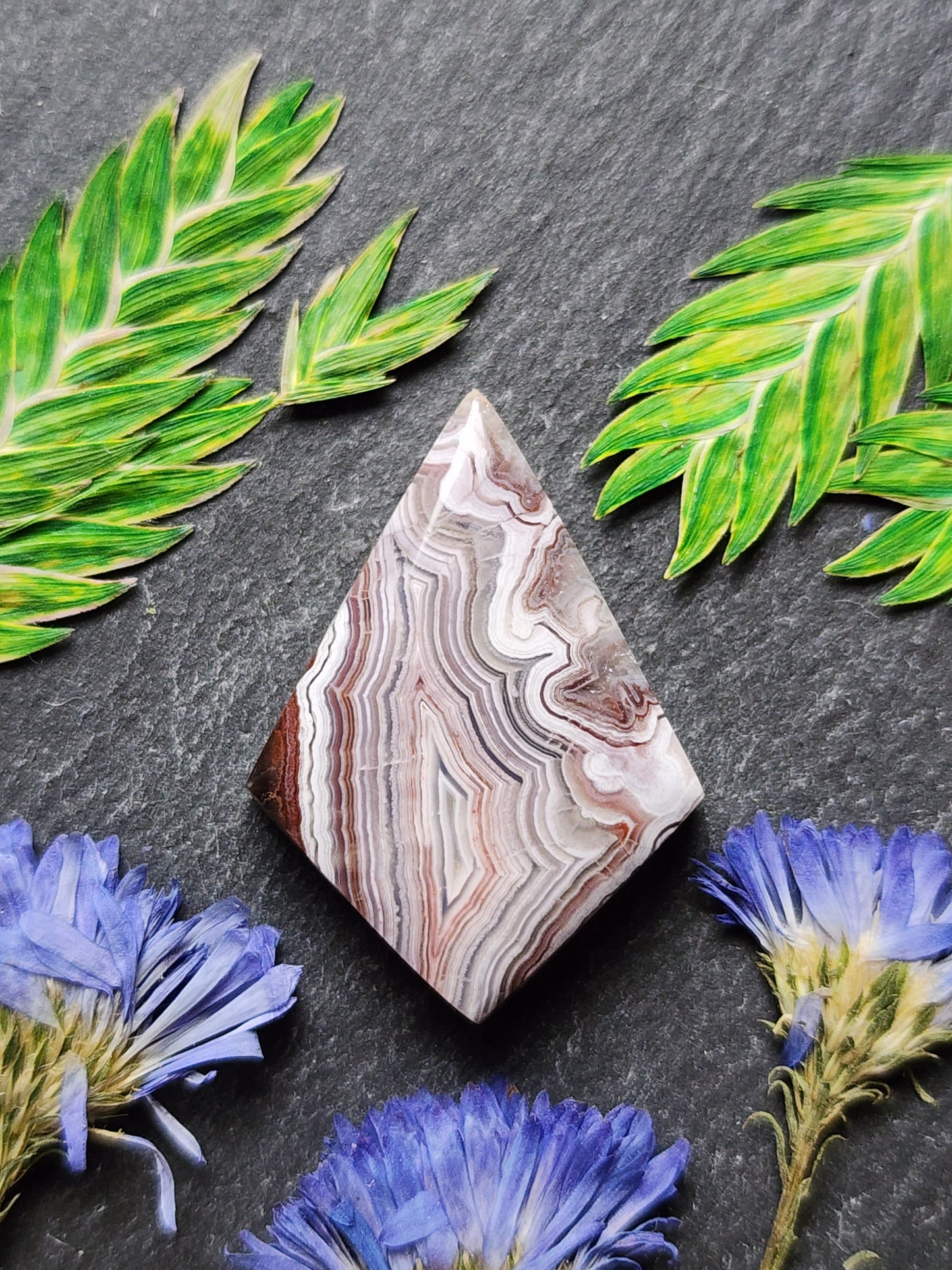 Laguna lace agate