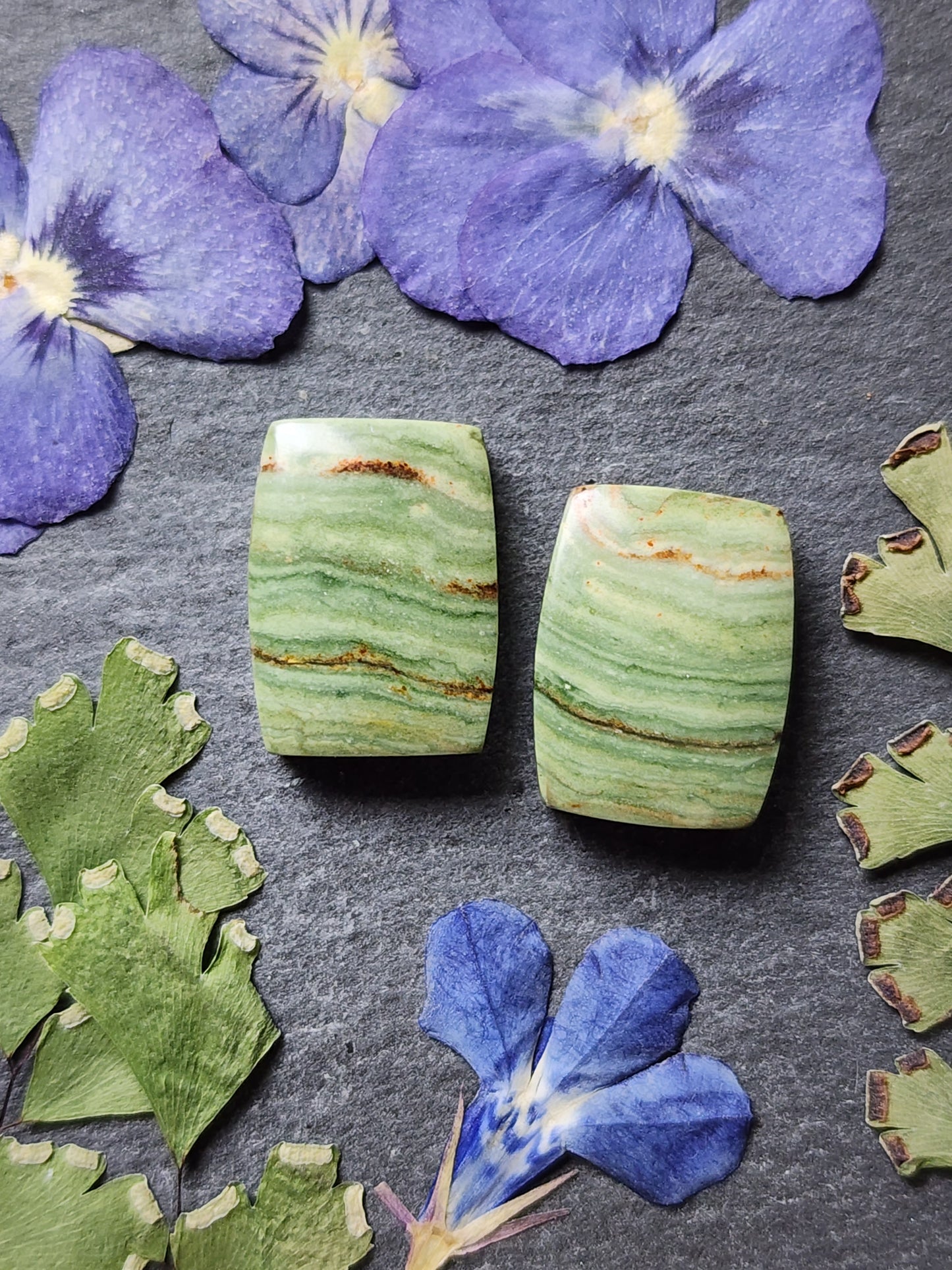 Gary green jasper/Larsonite pair