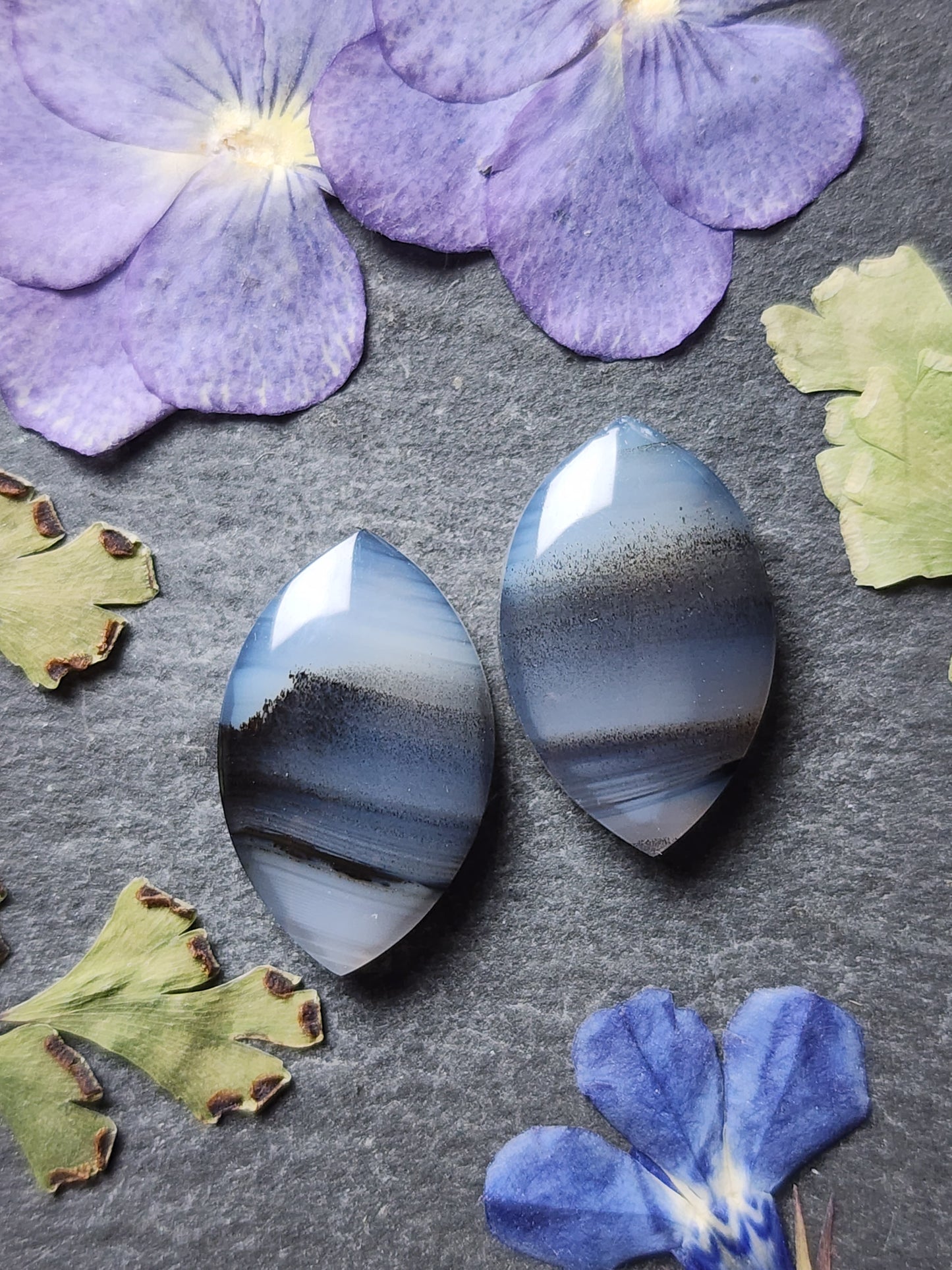 Montana agate pair