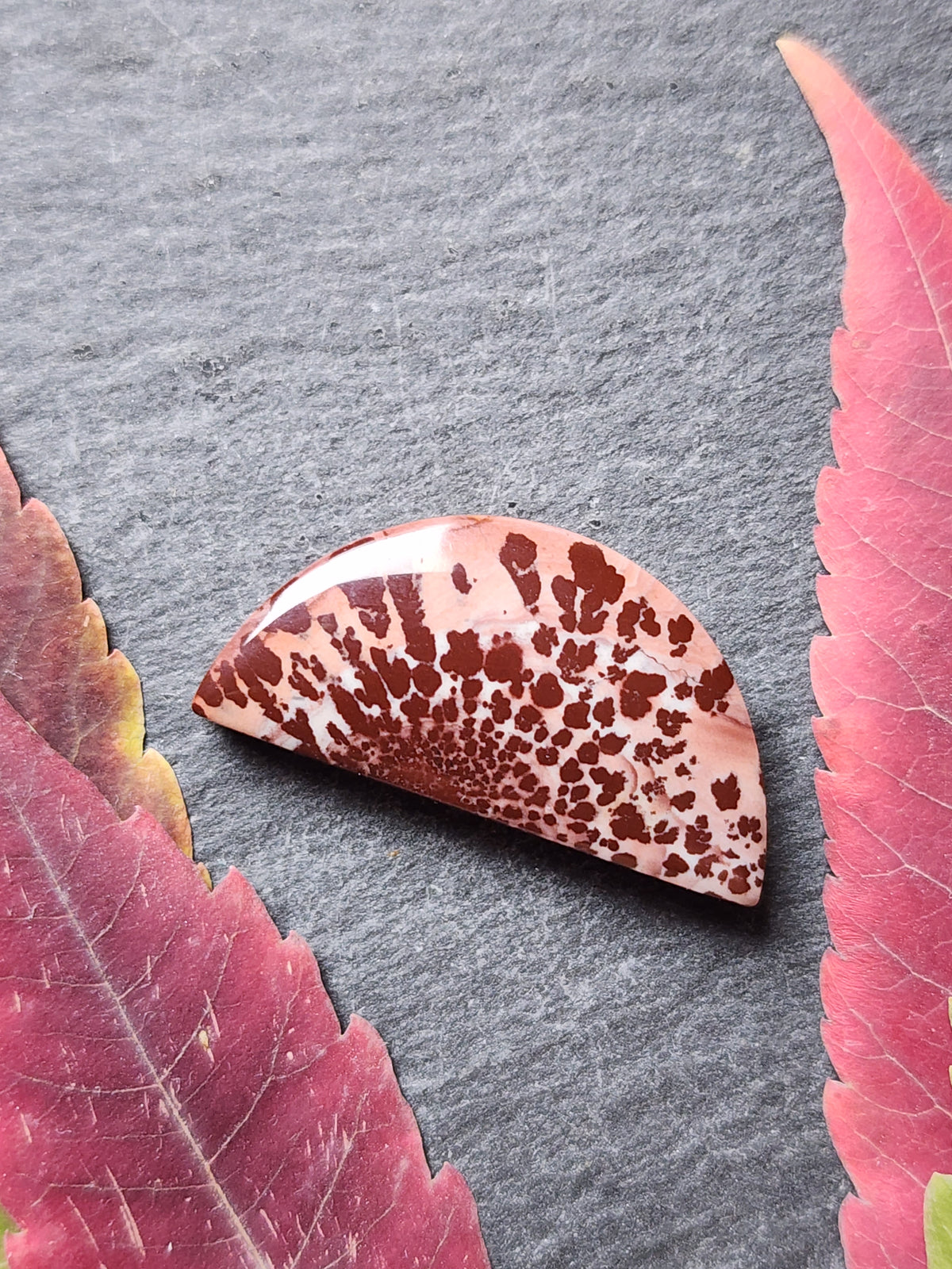 Mimbres Valley Apache Dendritic Rhyolite