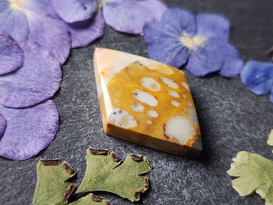 Spotted Fawn jasper