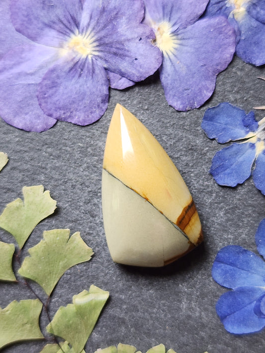 Owyhee jasper