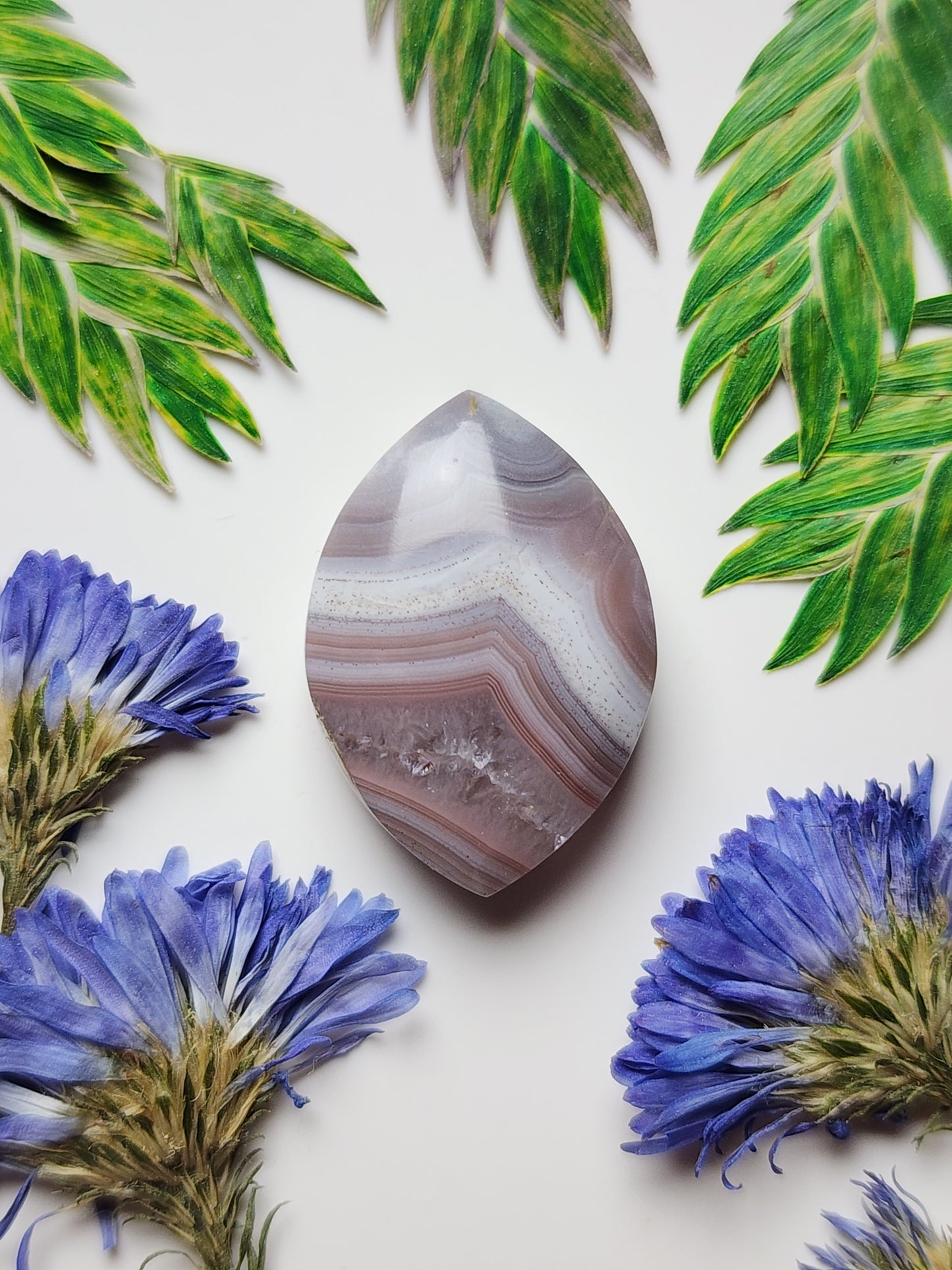 Agua Nueva agate