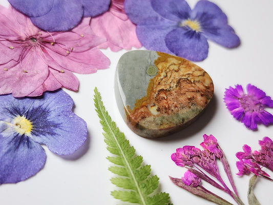 Rocky Butte picture jasper