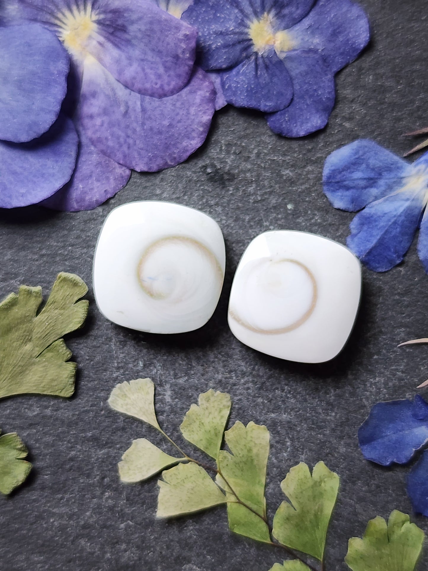 Shiva shell pair