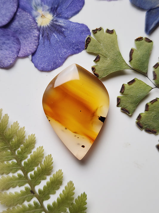 Montana agate