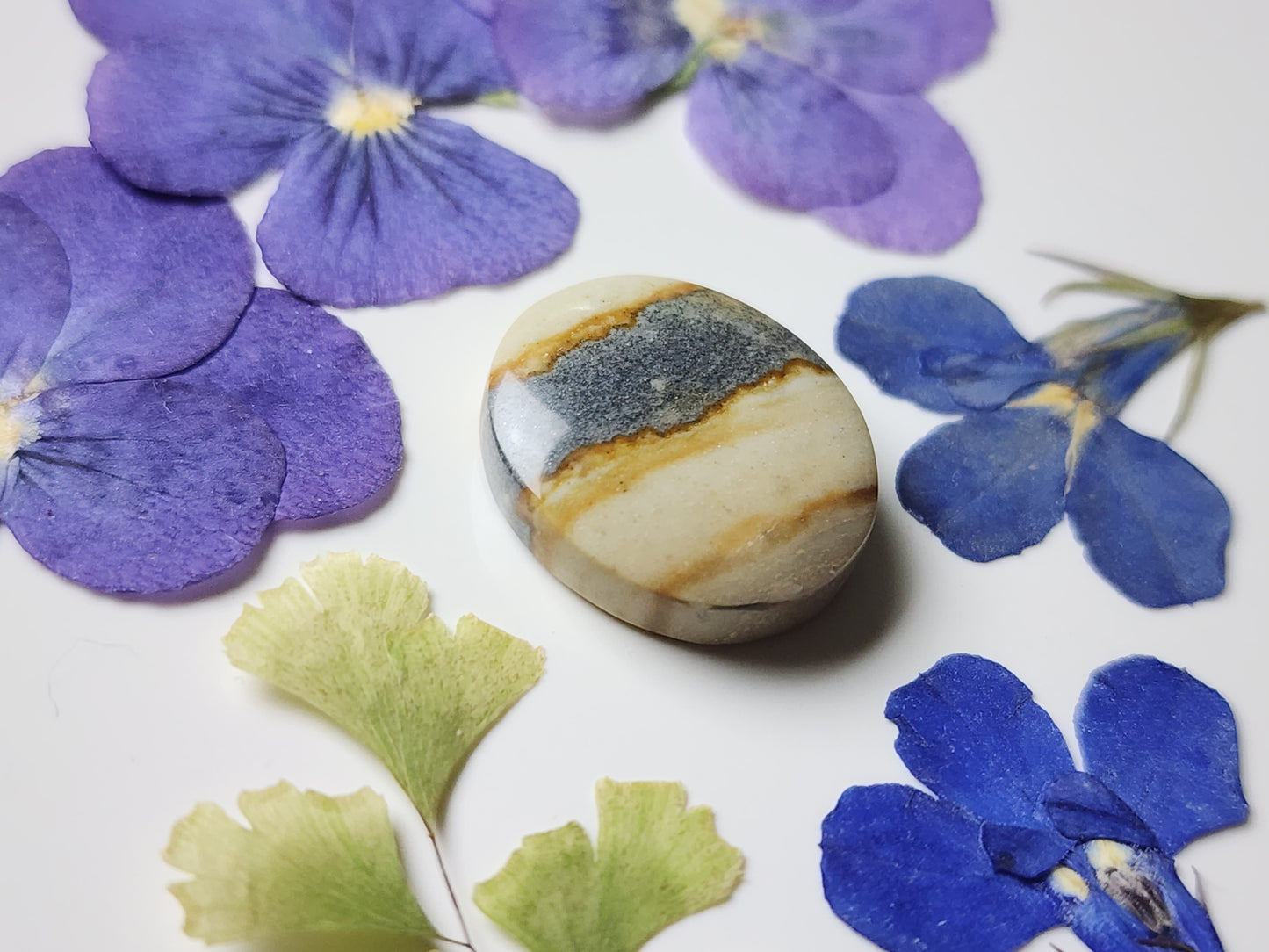 Starry night picture jasper
