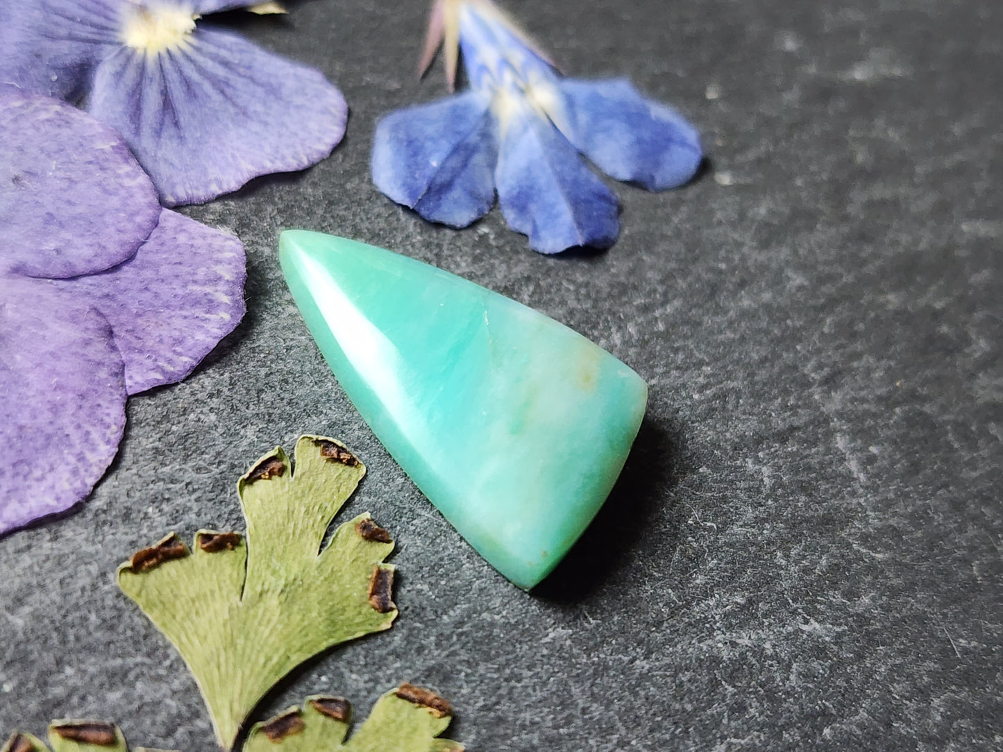 Petrified Blue opalized wood